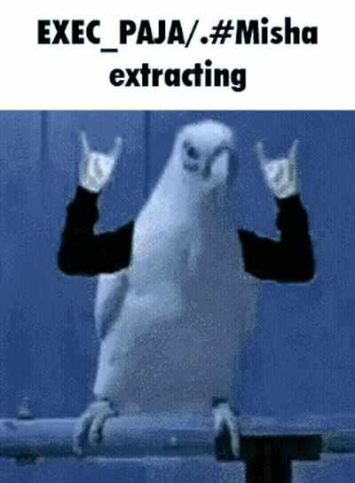 A Picture Of A White Parrot With A Caption That Says Exec Paja / Misha Extracting GIF