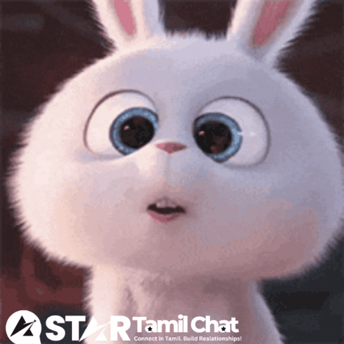 A Picture Of A White Rabbit With A Star Tamil Chat Logo In The Corner GIF