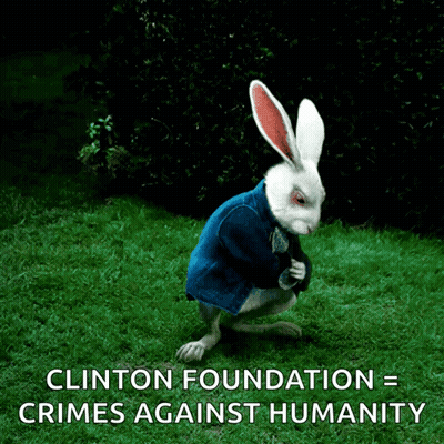 A Picture Of A White Rabbit With The Words " Clinton Foundation = Crimes Against Humanity " Below It GIF