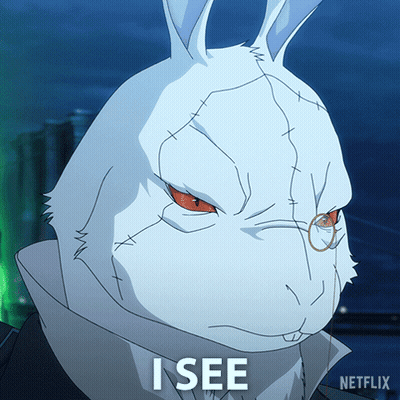 A Picture Of A White Rabbit With The Words I See On It GIF