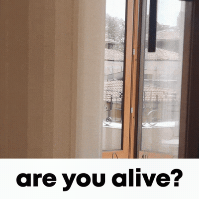 A Picture Of A Window And The Words " Are You Alive " GIF