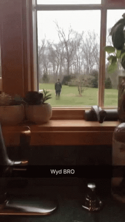 A Picture Of A Window With The Word Wyd Bro On The Bottom GIF