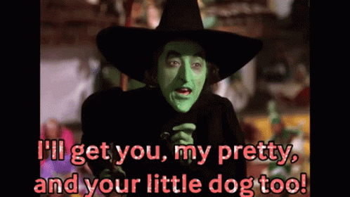 A Picture Of A Witch Says I 'Ll Get You My Pretty And Your Little Dog Too GIF