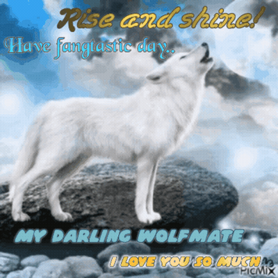 A Picture Of A Wolf Howling With The Words Rise And Shine Above It GIF