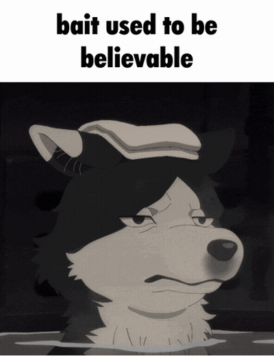 A Picture Of A Wolf With A Towel On Its Head And The Words Bait Used To Be Believable Below It GIF