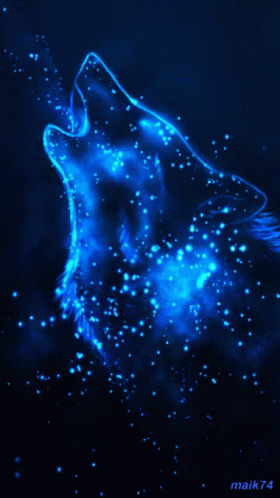 A Picture Of A Wolf With The Name Maik74 On The Bottom Right GIF