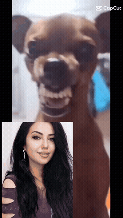 A Picture Of A Woman And A Picture Of A Dog With The Caption Cap Cut GIF