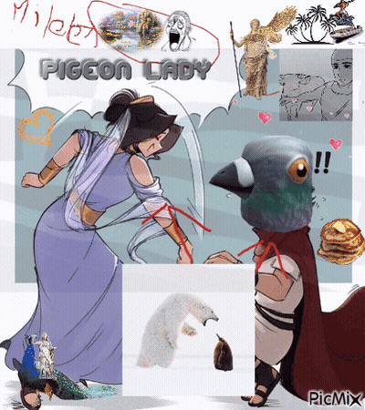 A Picture Of A Woman And A Pigeon With The Words Pigeon Lady Above Them GIF