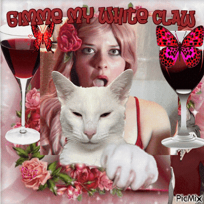 A Picture Of A Woman And A White Cat With The Words Gimme My White Claw On It GIF