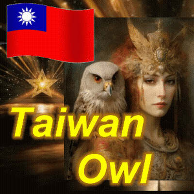 A Picture Of A Woman And An Owl With The Words Taiwan Owl On The Bottom GIF