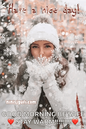 A Picture Of A Woman Blowing Snowflakes With The Words Have A Nice Day Good Morning Be Safe Stay Warm GIF