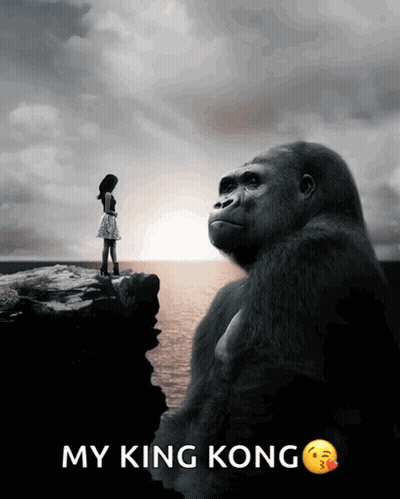 A Picture Of A Woman Standing On A Cliff Next To A Gorilla With The Caption " My King Kong " GIF