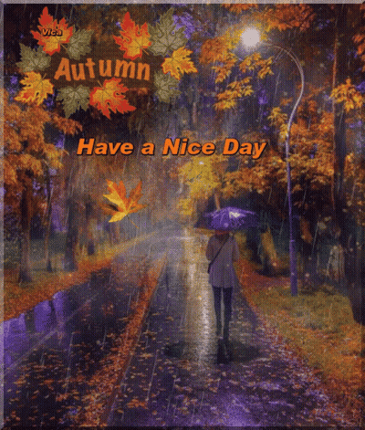 A Picture Of A Woman Walking In The Rain With The Words Have A Nice Day GIF
