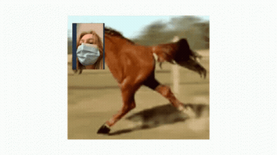 A Picture Of A Woman Wearing A Mask Next To A Horse GIF