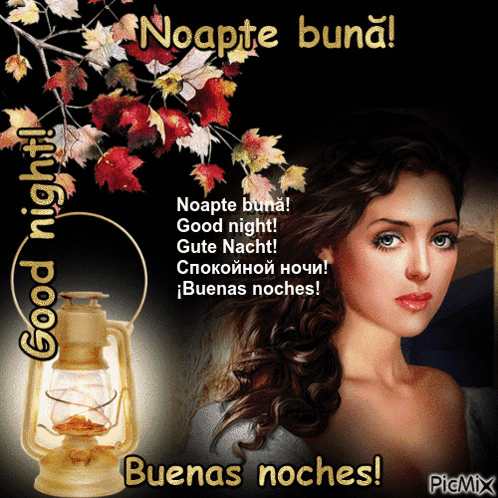 A Picture Of A Woman With A Lantern And The Words " Good Night " GIF