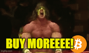 A Picture Of A Wrestler With The Words Buy Moreeee Written On It GIF