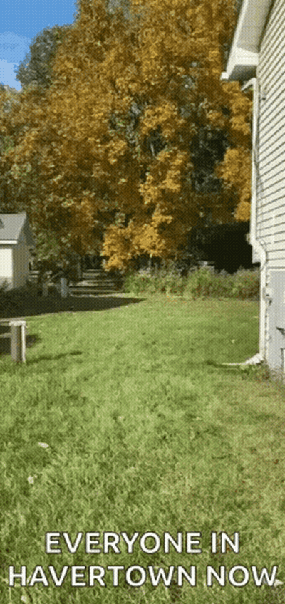 A Picture Of A Yard With The Words Everyone In Havertown Now At The Bottom GIF