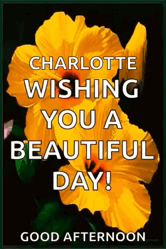 A Picture Of A Yellow Flower With The Words Charlotte Wishing You A Beautiful Day Good Afternoon . GIF