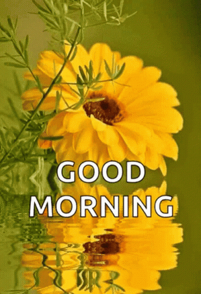 A Picture Of A Yellow Flower With The Words Good Morning Above It GIF
