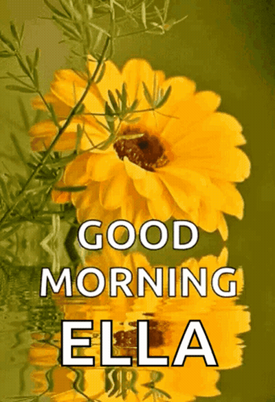 A Picture Of A Yellow Flower With The Words Good Morning Ella On It GIF