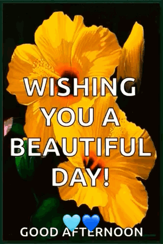 A Picture Of A Yellow Flower With The Words Wishing You A Beautiful Day . GIF