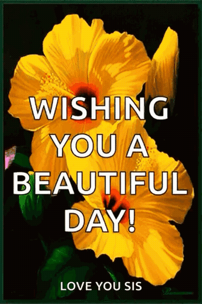A Picture Of A Yellow Flower With The Words Wishing You A Beautiful Day GIF