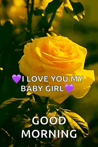 A Picture Of A Yellow Rose With The Words " I Love You My Baby Girl " GIF