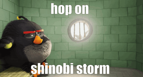 A Picture Of An Angry Bird With The Words Hop On Shinobi Storm GIF