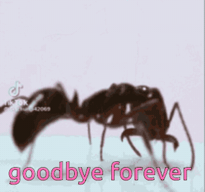 A Picture Of An Ant With The Words Goodbye Forever Written Below It GIF