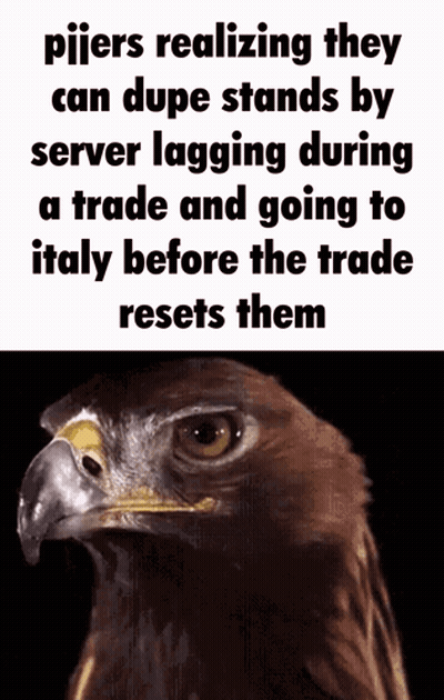 A Picture Of An Eagle With A Caption That Reads " Pijers Realizing They Can Dupe Stands By Server Lagging GIF