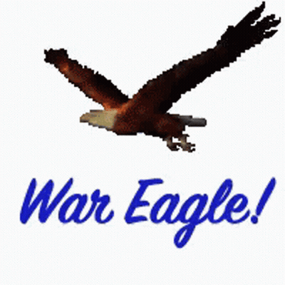 A Picture Of An Eagle With The Words War Eagle Written On It GIF
