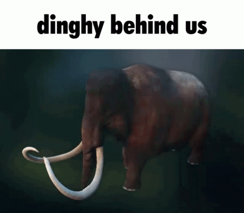 A Picture Of An Elephant With The Words " Dinghy Behind Us " Above It GIF