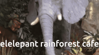 A Picture Of An Elephant With The Words " Elepant Rainforest Cafe " Below It GIF