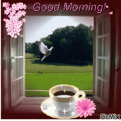 A Picture Of An Open Window With A Cup Of Coffee And A Bird Flying Over A Field GIF