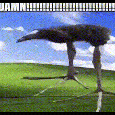 A Picture Of An Ostrich Standing In A Field With The Words Damn On The Bottom GIF