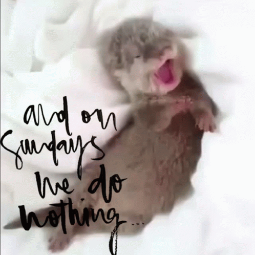 A Picture Of An Otter With The Words " And On Sundays We Do Nothing " On It GIF
