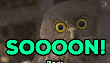 A Picture Of An Owl With The Words Sooooon In Green Letters GIF