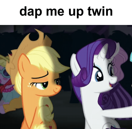 A Picture Of Applejack And Rarity From My Little Pony With The Caption " Dap Me Up Twin " GIF