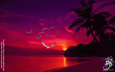 A Picture Of Birds Flying Over A Beach With The Date 2021 GIF