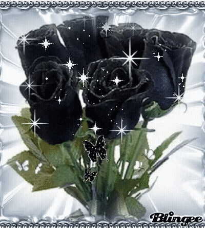 A Picture Of Black Roses And Butterflies With The Word Blingee On The Bottom GIF