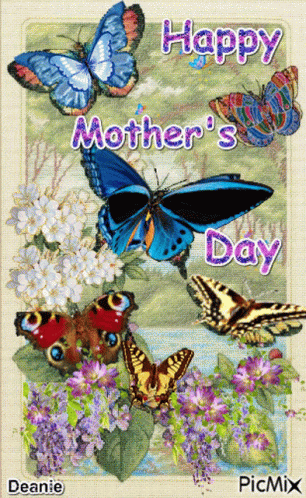 A Picture Of Butterflies And Flowers With The Words Happy Mother 'S Day GIF