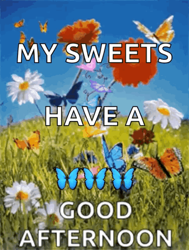 A Picture Of Butterflies And Flowers With The Words " My Sweets Have A Good Afternoon " GIF