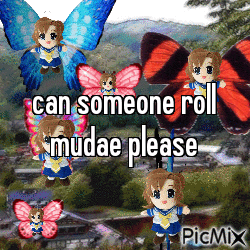 A Picture Of Butterflies With The Words Can Someone Roll Mudae Please Written On It GIF