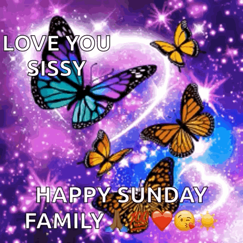 A Picture Of Butterflies With The Words Love You Sissy Happy Sunday Family On It GIF