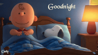 A Picture Of Charlie Brown And Snoopy In Bed With The Words Goodnight On The Bottom GIF