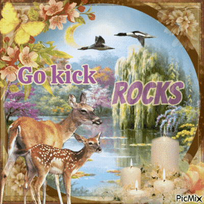 A Picture Of Deer With The Words Go Kick Rocks GIF