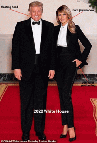 A Picture Of Donald Trump And Melania Obama From The White House GIF