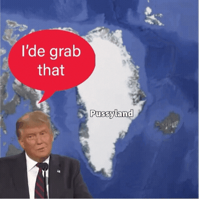 A Picture Of Donald Trump With A Speech Bubble That Says I 'D Grab That Pussyland GIF