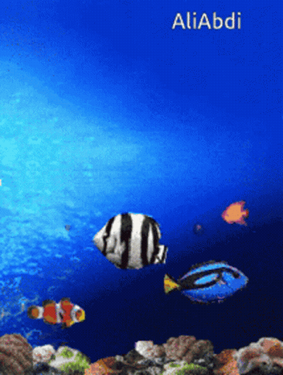 A Picture Of Fish In The Ocean With The Name Aliabdi On The Bottom GIF