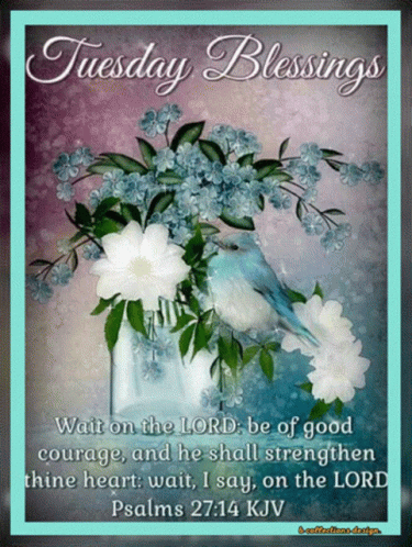 A Picture Of Flowers And A Bird With The Words Tuesday Blessings On It GIF